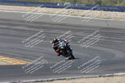 media/Apr-14-2024-SoCal Trackdays (Sun) [[70f97d3d4f]]/5-Bowl Exit (1020am)/